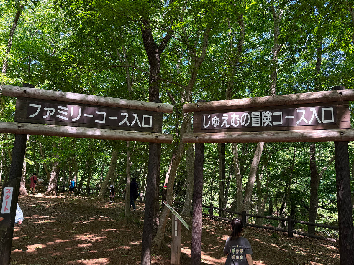 アンデルセン公園 ワンパク王国ゾーンのアスレチック