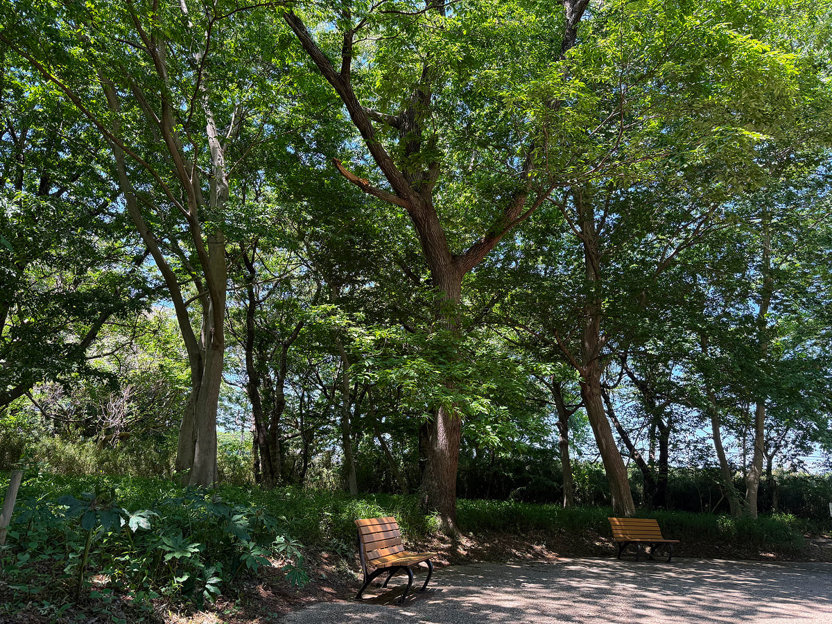 アンデルセン公園 自然体験ゾーン