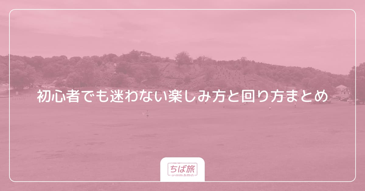 初心者でも迷わない楽しみ方と回り方まとめ