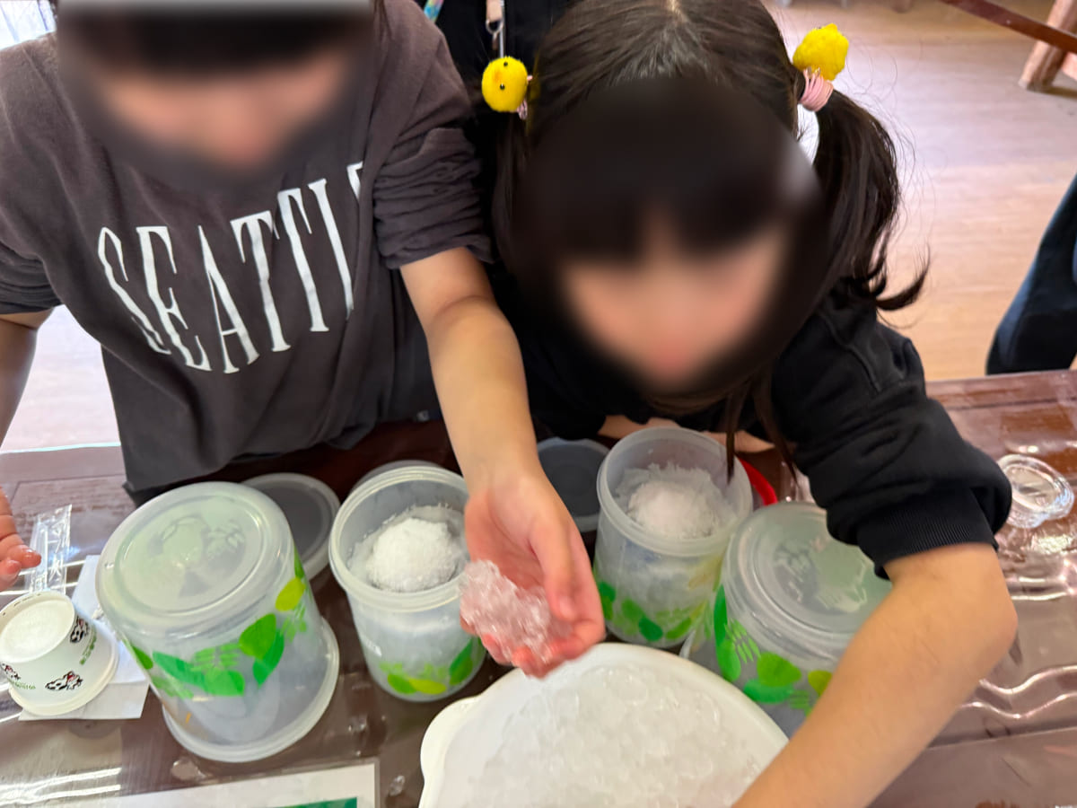 成田ゆめ牧場 ミルクアイス作りで再び氷を入れる