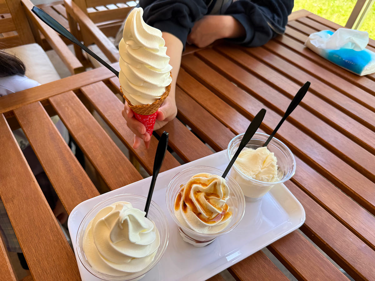 成田ゆめ牧場 ミルクアイス＆ソフトクリーム