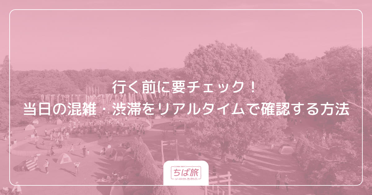 行く前に要チェック！当日の混雑・渋滞をリアルタイムで確認する方法