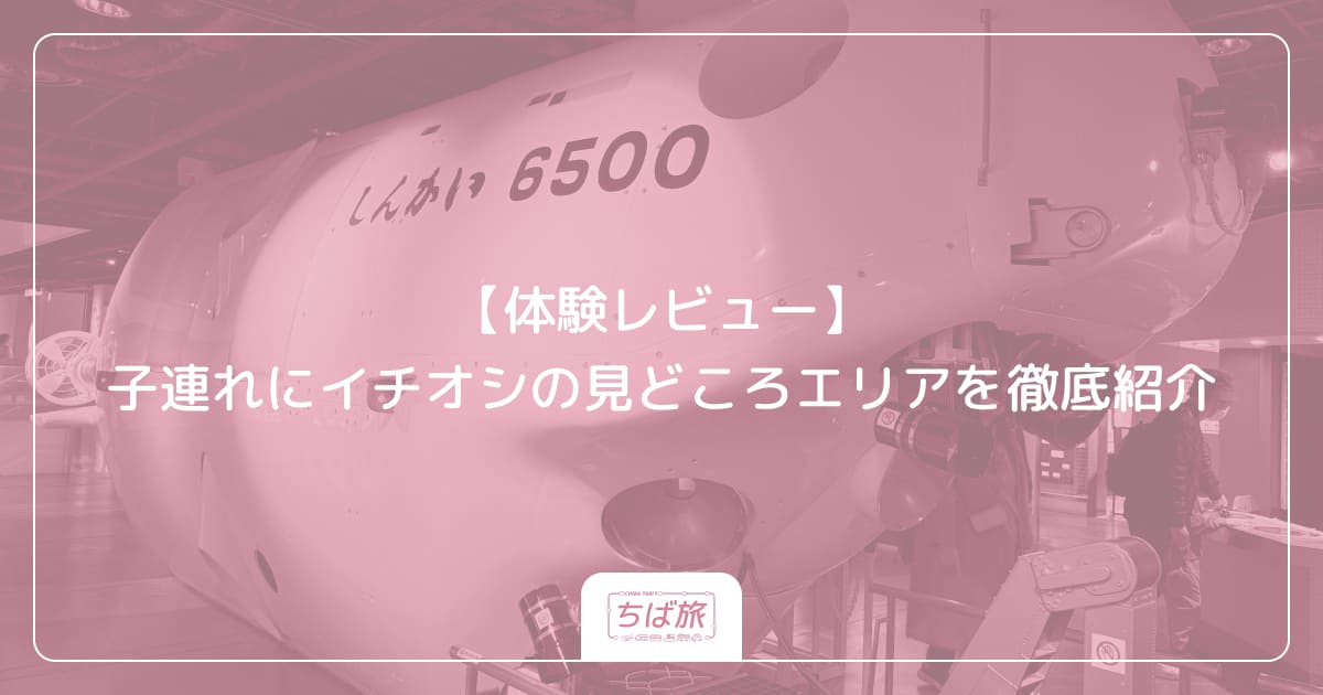 【体験レビュー】子連れにイチオシの見どころエリアを徹底紹介