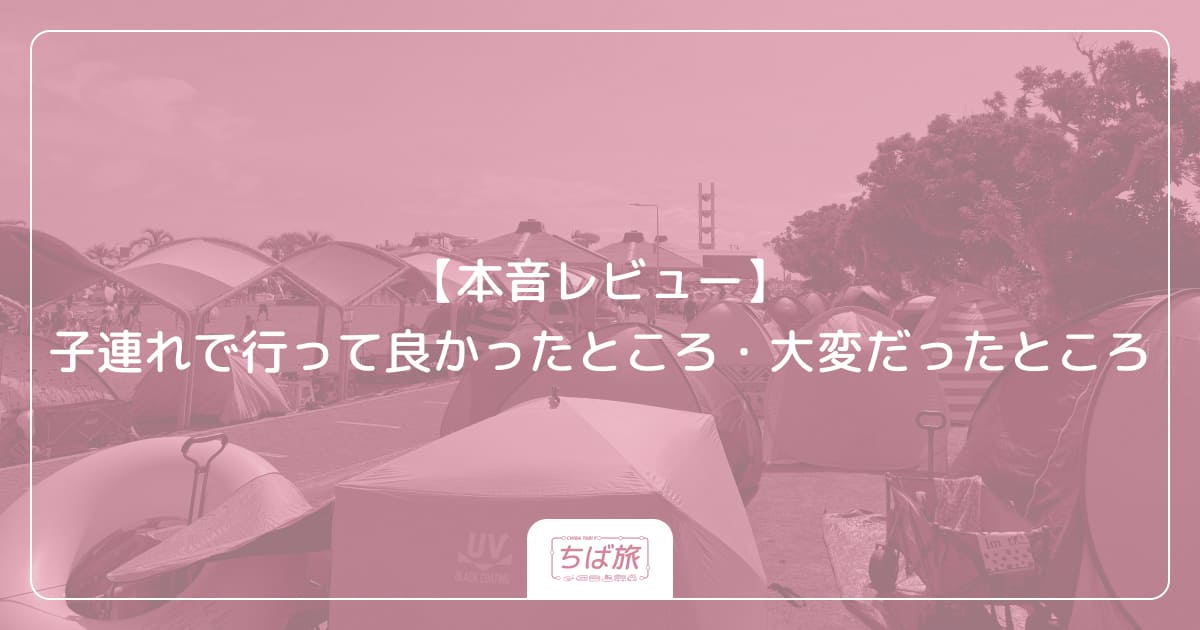 【本音レビュー】子連れで行って良かったところ・大変だったところ