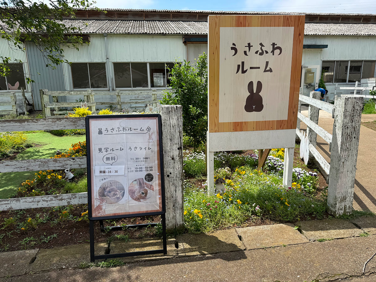 成田ゆめ牧場 うさふわルーム