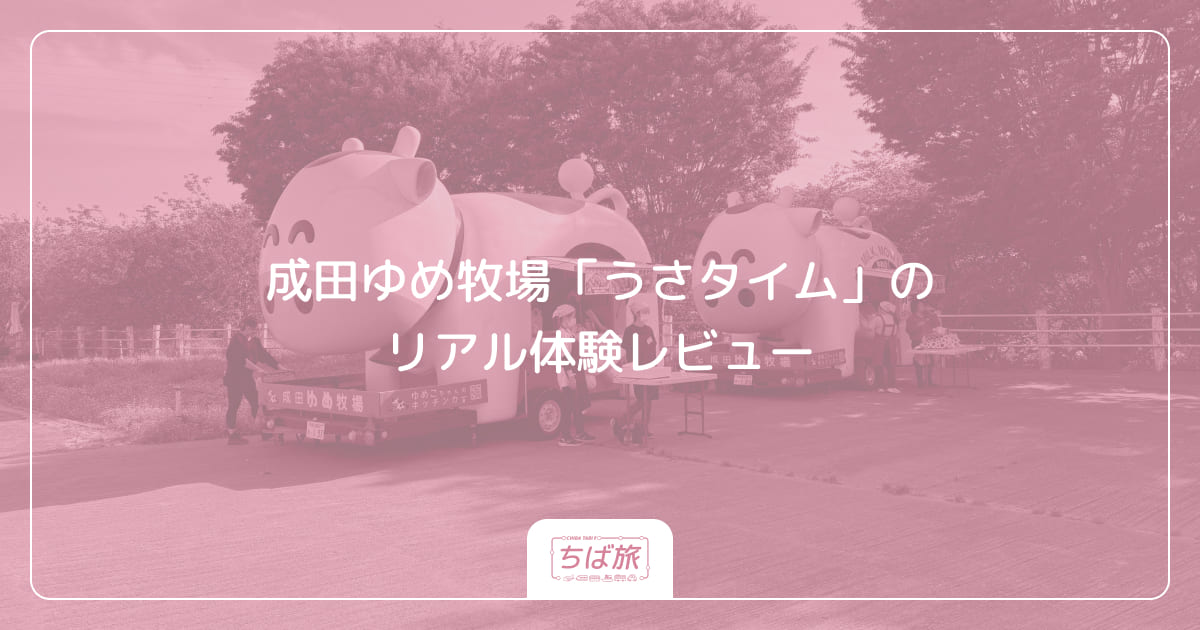 成田ゆめ牧場「うさタイム」のリアル体験レビュー