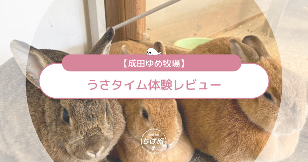 成田ゆめ牧場「うさタイム」体験レビュー！うさぎとのふれあい・エサあげ