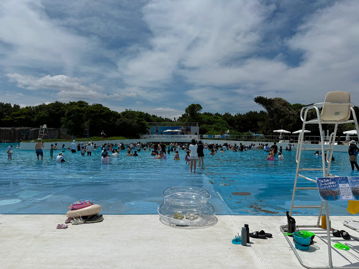 稲毛海浜公園プール 波のプール