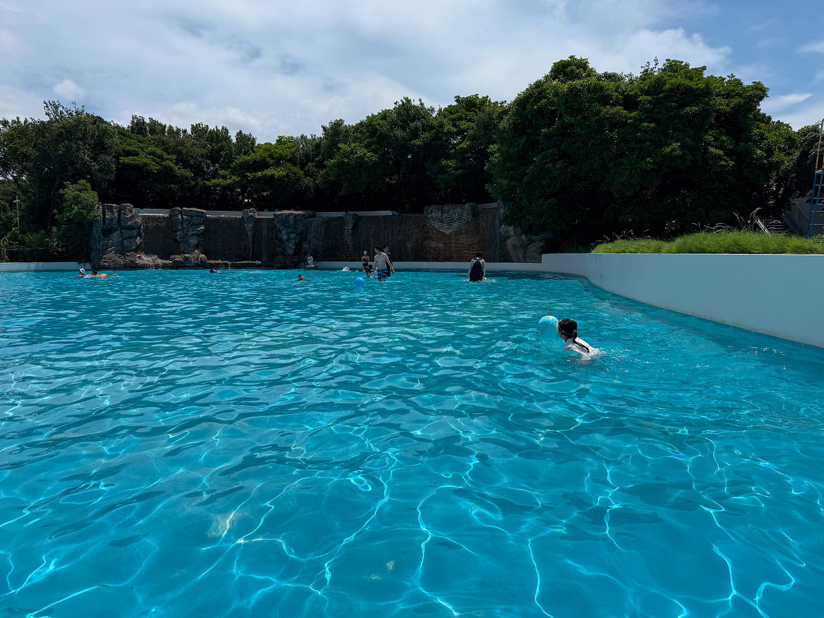 稲毛海浜公園プール 7月のオープン初日の空いている様子