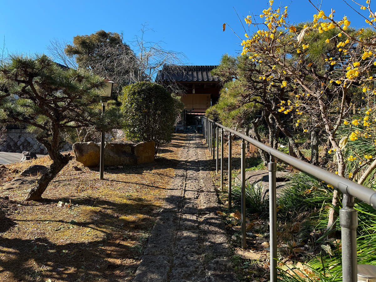 野の花庵 入口前の坂道