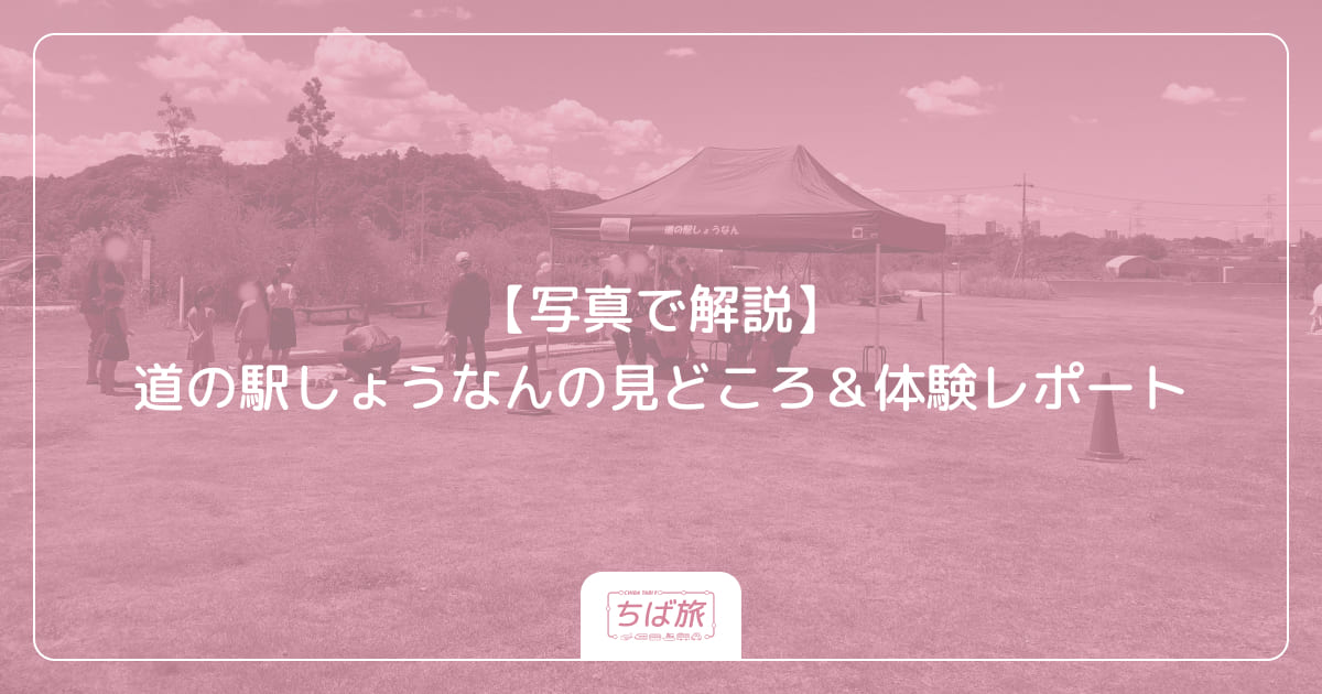 【写真で解説】道の駅しょうなんの見どころ＆体験レポート