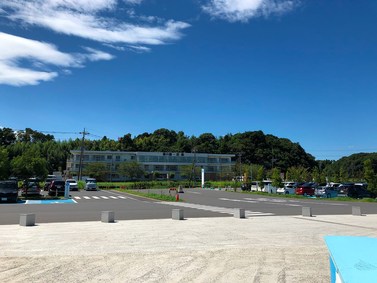 道の駅しょうなん 夏休み休日の駐車場