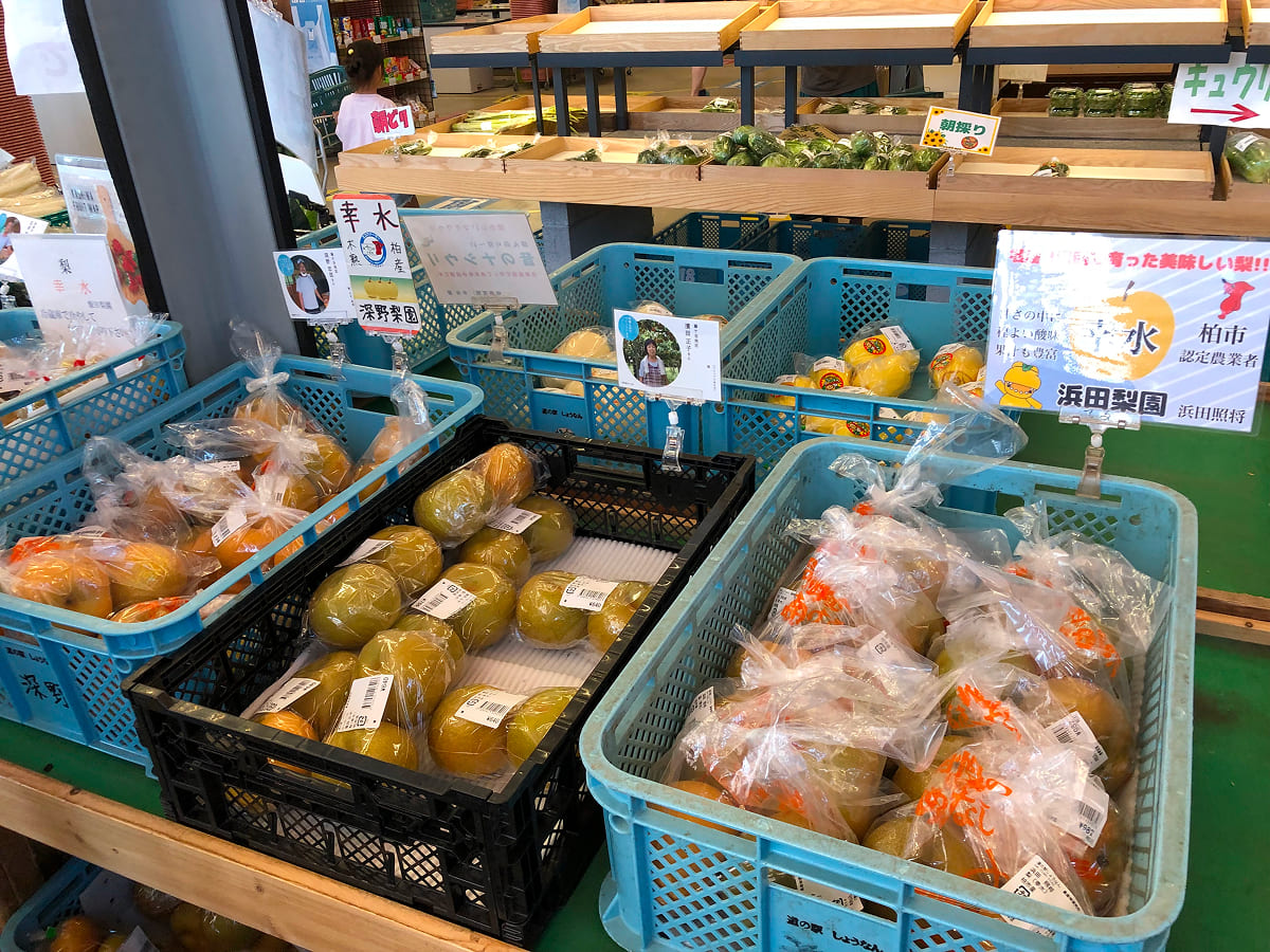 道の駅しょうなん 知産知消マルシェには新鮮野菜や果物がたくさん