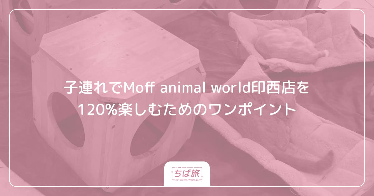 子連れでMoff animal world印西店を120%楽しむためのワンポイント