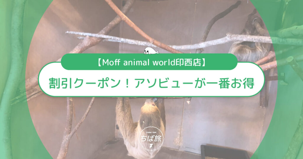 Moff animal world印西店の割引クーポン情報！アソビューが一番お得な理由