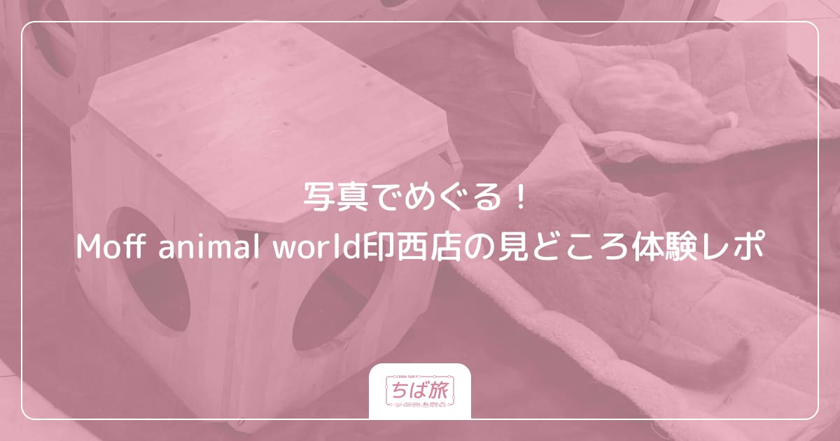 写真でめぐる！Moff animal world印西店の見どころ体験レポ