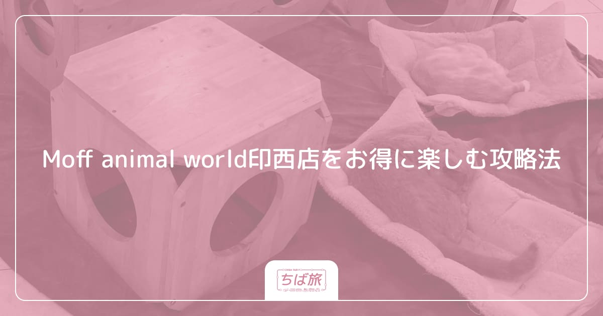 Moff animal world印西店をお得に楽しむ攻略法