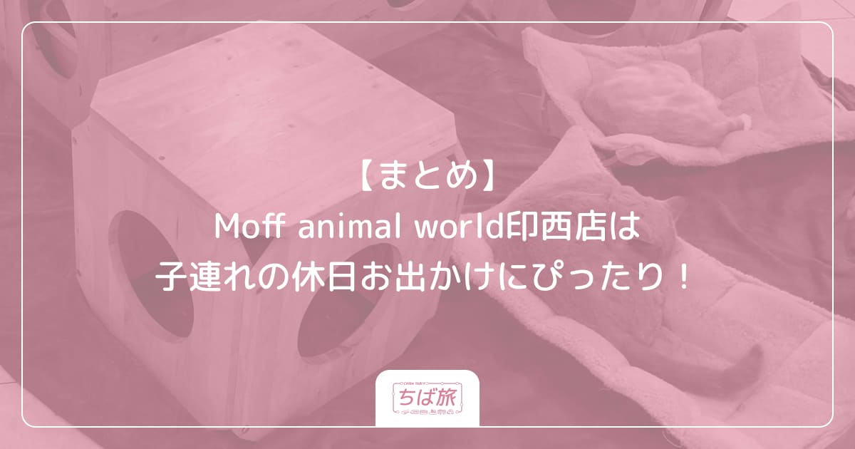 【まとめ】Moff animal world印西店は子連れの休日お出かけにぴったり！