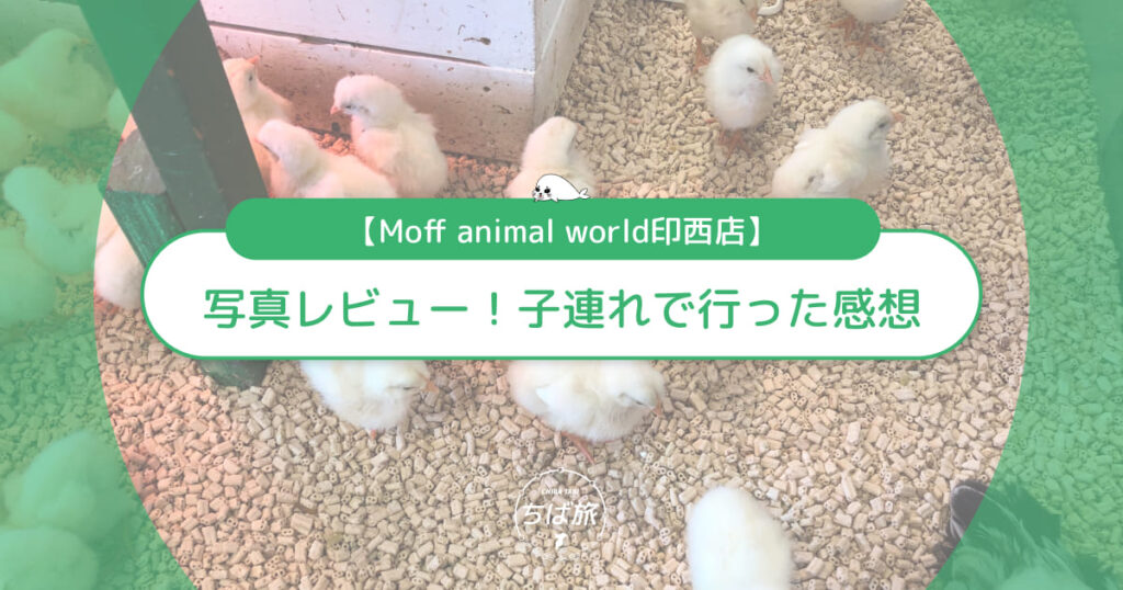 Moff animal world印西店を写真レビュー！子連れで行った感想
