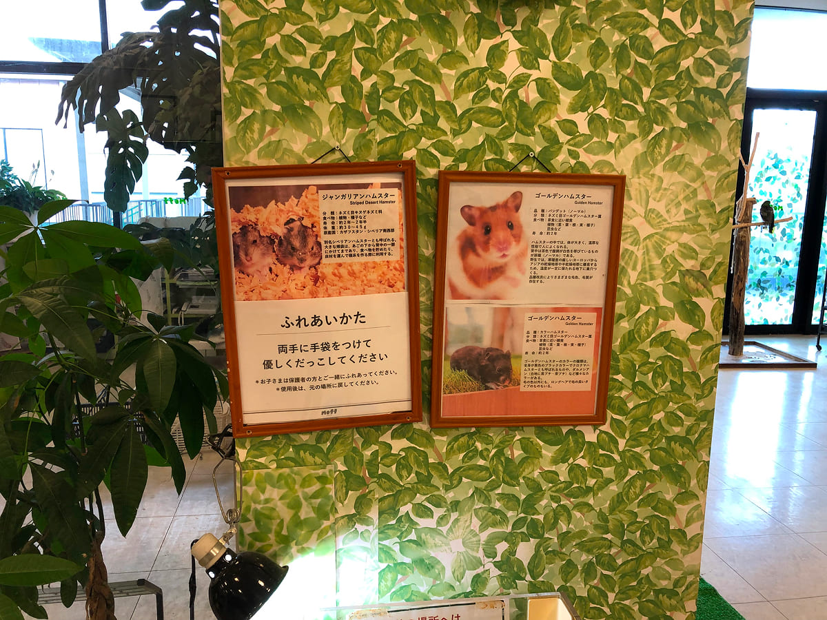 Moff animal world 動物ごとのふれあいかたマニュアル