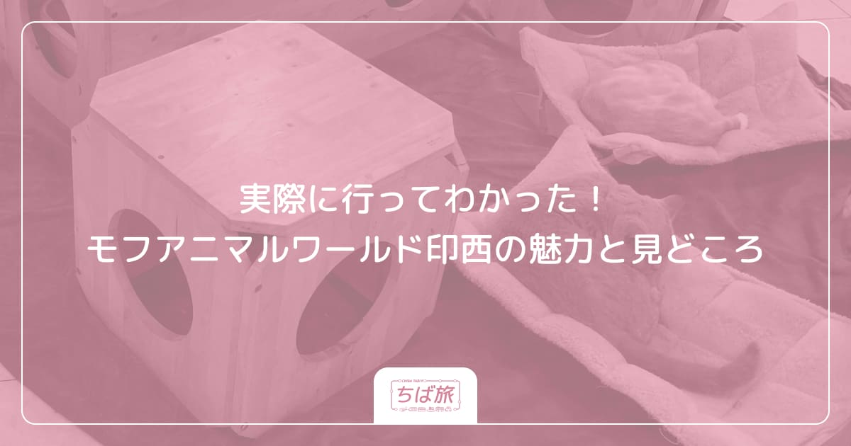 実際に行ってわかった！モフアニマルワールド印西の魅力と見どころ