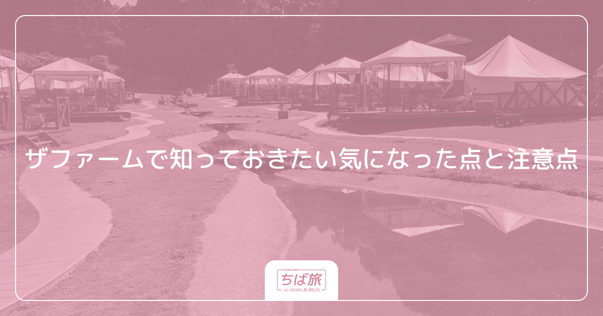 ザファームで知っておきたい気になった点と注意点