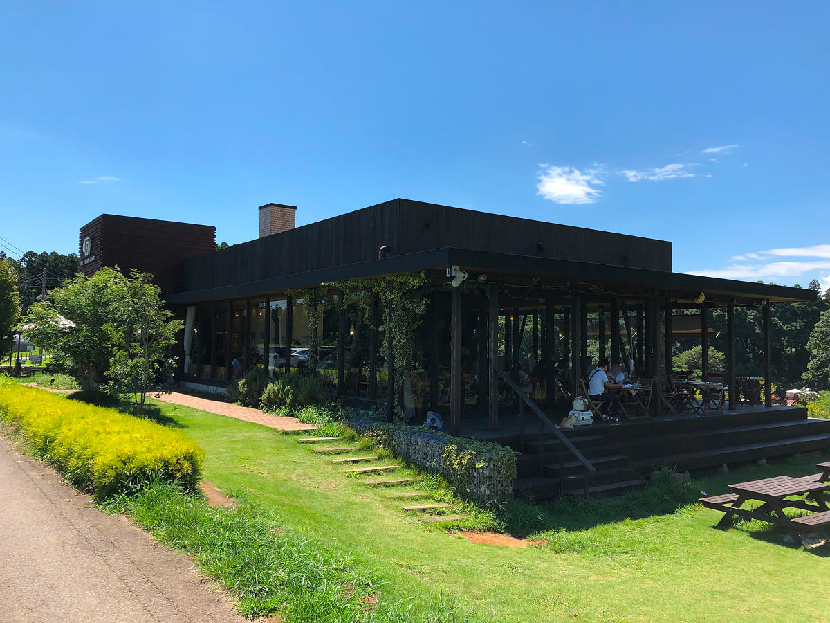 農園リゾート THE FARM カフェ
