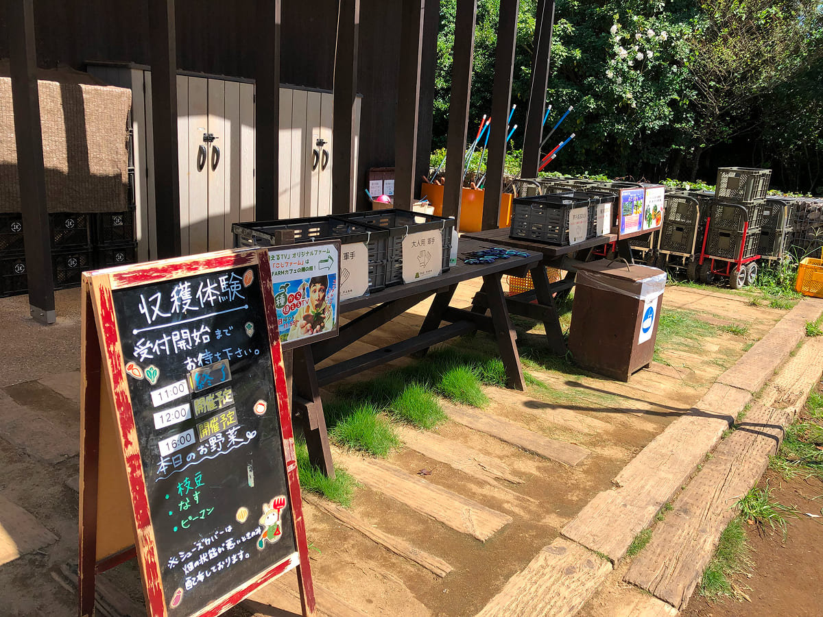 農園リゾート THE FARM 収穫体験受付