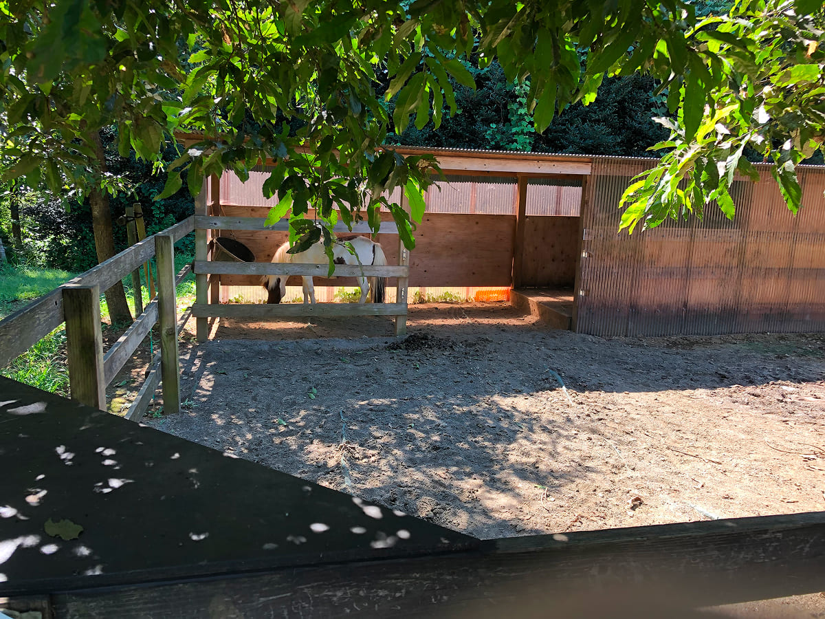 農園リゾート THE FARM ミニ牧場