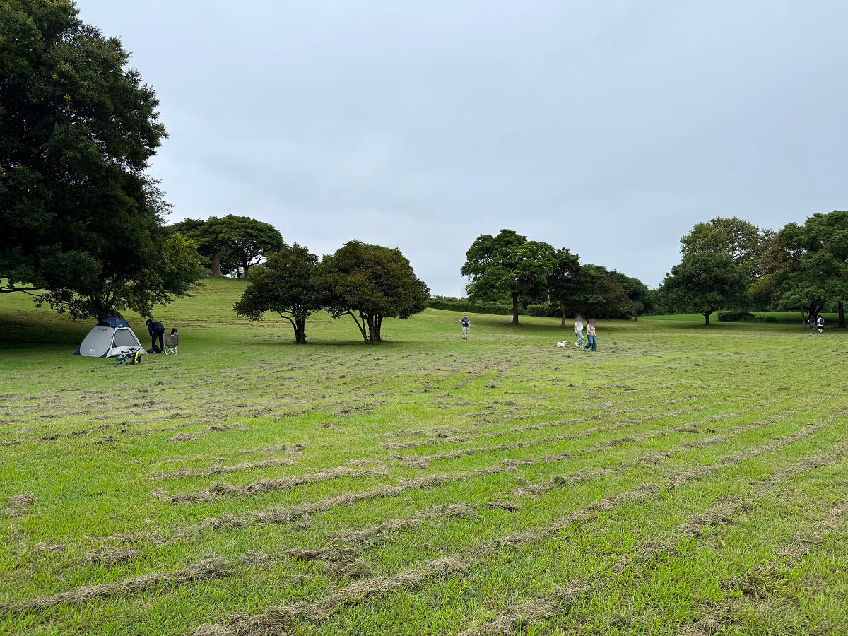 千葉ポートパーク 芝生広場でテントを設置する様子