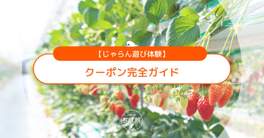 【2026年9月】じゃらん遊び体験クーポン完全ガイド！お得な10日間＆スペシャルWEEK攻略法