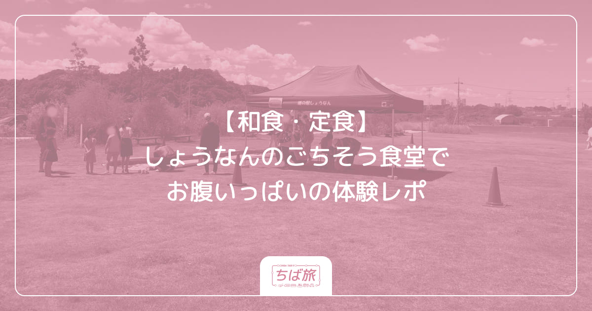 【和食・定食】しょうなんのごちそう食堂でお腹いっぱいの体験レポ