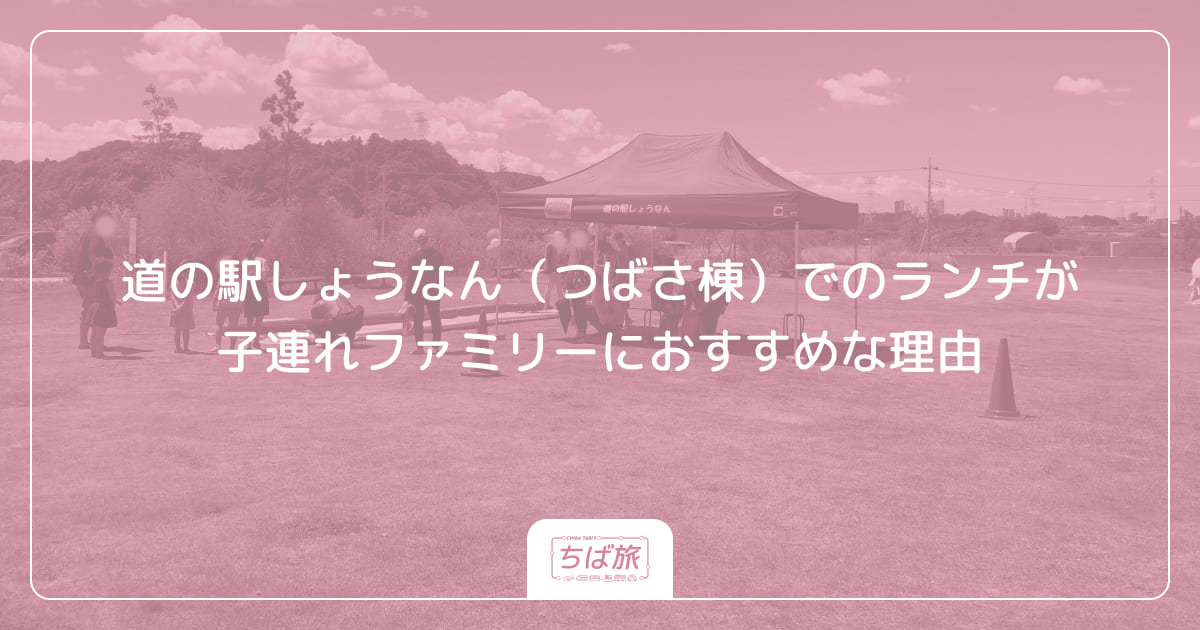 道の駅しょうなん（つばさ棟）でのランチが子連れファミリーにおすすめな理由