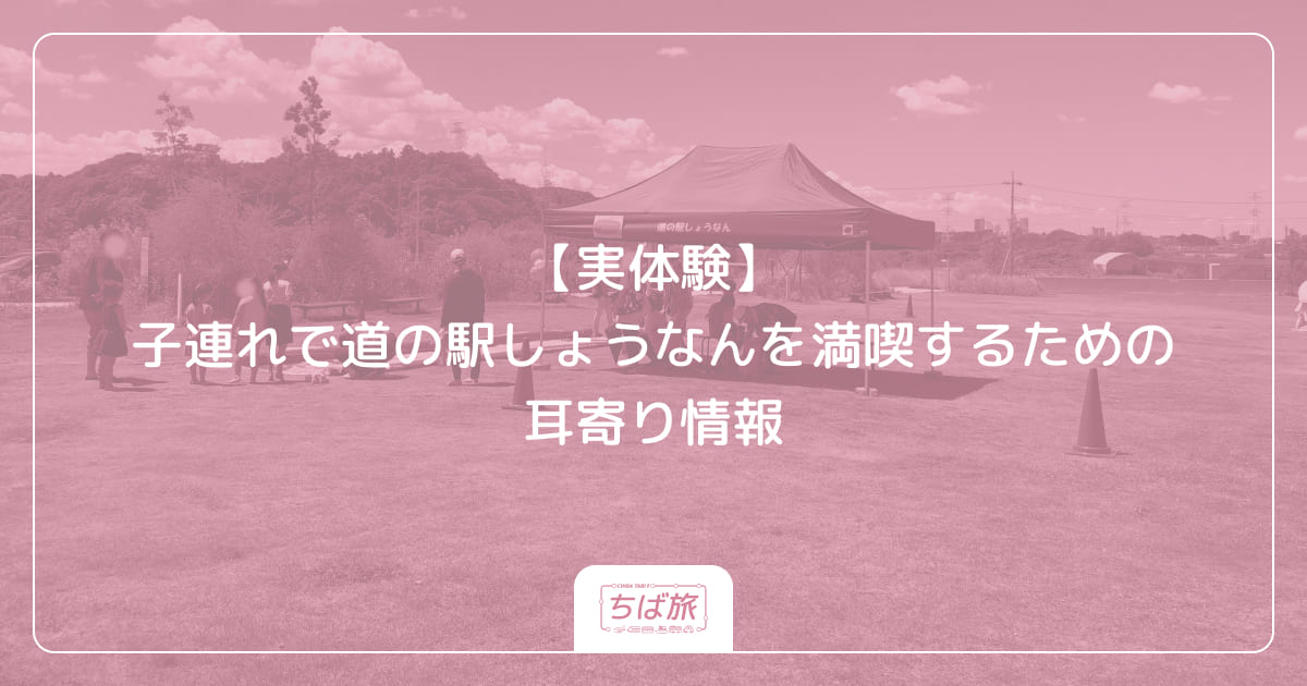 【実体験】子連れで道の駅しょうなんを満喫するための耳寄り情報