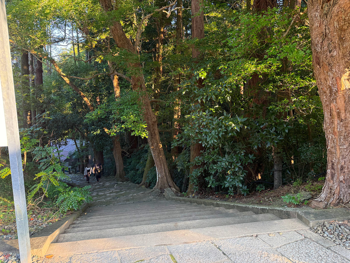 成田山新勝寺 成田山公園の階段の様子