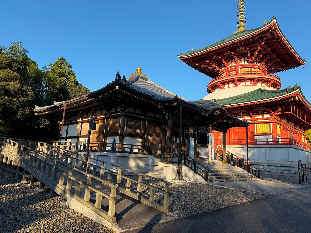 成田山新勝寺 醫王殿と平和大塔